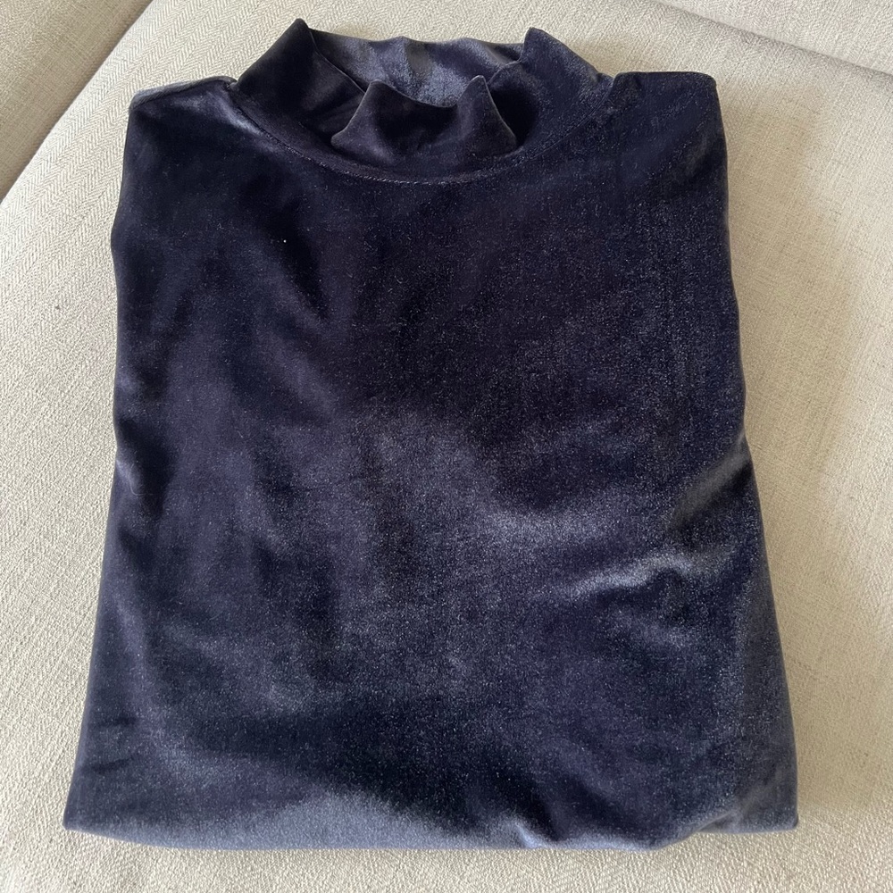 Loft Velvet Mock Turtleneck - Picture 7 of 15